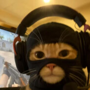 在筒子楼里鸭子步