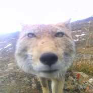 особо безопасен