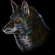 thefox48