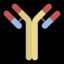 Bevacizumab
