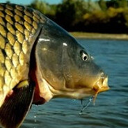 МУЖСКОЕ ДВИЖЕНИЕ