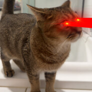 Wellsy ™