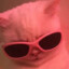 KittttKatttt24
