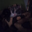 Mr.Zarf