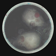 Player avatar