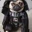 Dog Vader