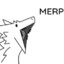 Merp (Sergal)