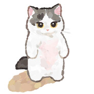 小猫偷刷老奶奶医保卡