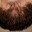 chum lees beard