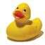 NoobDuck