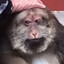 folk valley