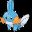 Mudkip