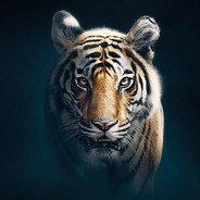 LbJ is the absolute g.o.a.t.