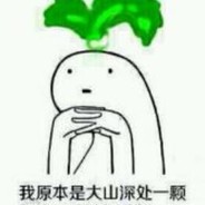 我是山中的一颗板南根