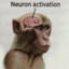 Neuron Activation