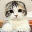 Super_lucky