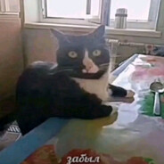 GIDROKVARPANAKUMOTIRAPOK