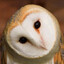 juke's avatar