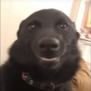 Sai da Frente Guedes  ;)