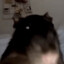 Merser's avatar