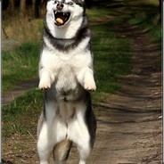 两年半的练习生