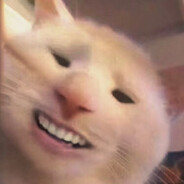 独断万古柳如月