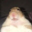 ratatouille