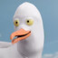 The Flying Seagull's avatar