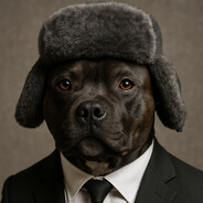 bulvis - steam id 76561199337392078