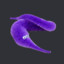 Wurmy