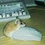 кобольд бригадир