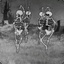 Spooky Scary Skeletons