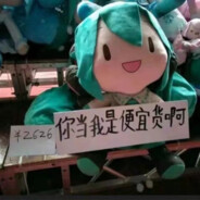 史高治麦克老鸭