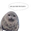 Nezi :3c
