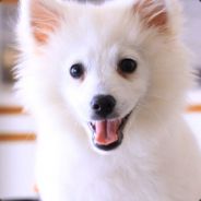 Billy༼ つ ◕_◕ ༽つ