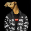 camelperson9