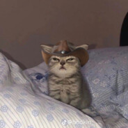 JxshWasHere #********