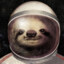 Space_Sloth1