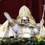 Sloth Pope