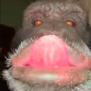 Аналитик Титек