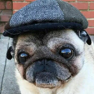 Мне пoхyй , я мопс