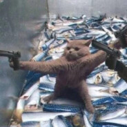 伴你轻舞笑红尘