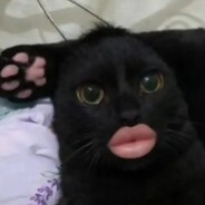 ꜱᴢᴄᴢʏᴘɪᴏʀ