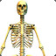Wahed Skelet