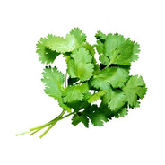 香菜