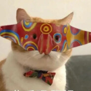 你很会打吗？zzzzz