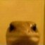 Kurbik