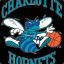 [ChaRltte Hornets]