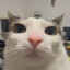 Silas