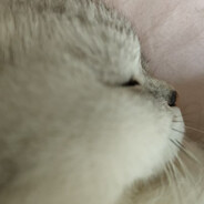 guang